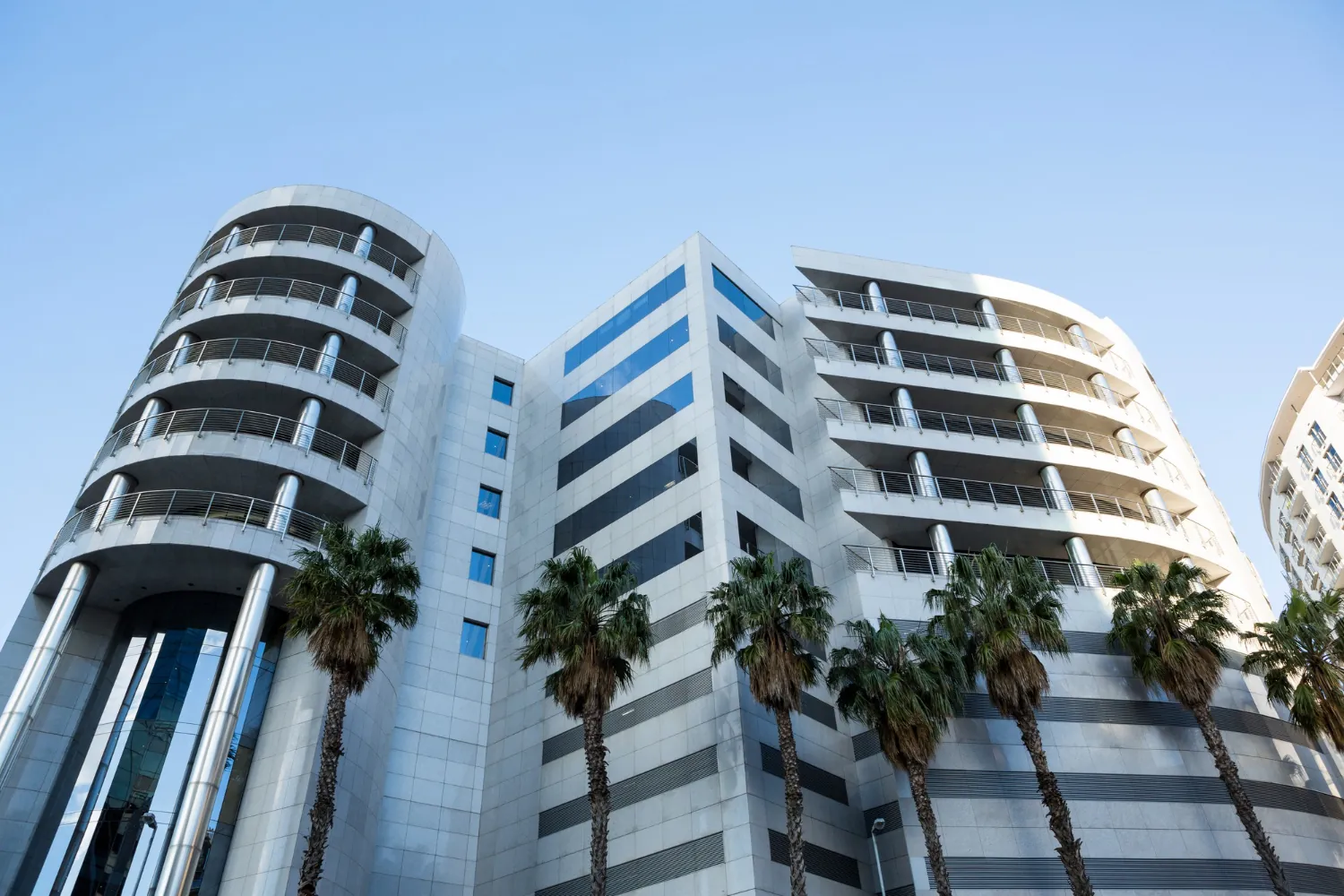 Curved white apartment towers with balconies, framed by palm trees and blue sky