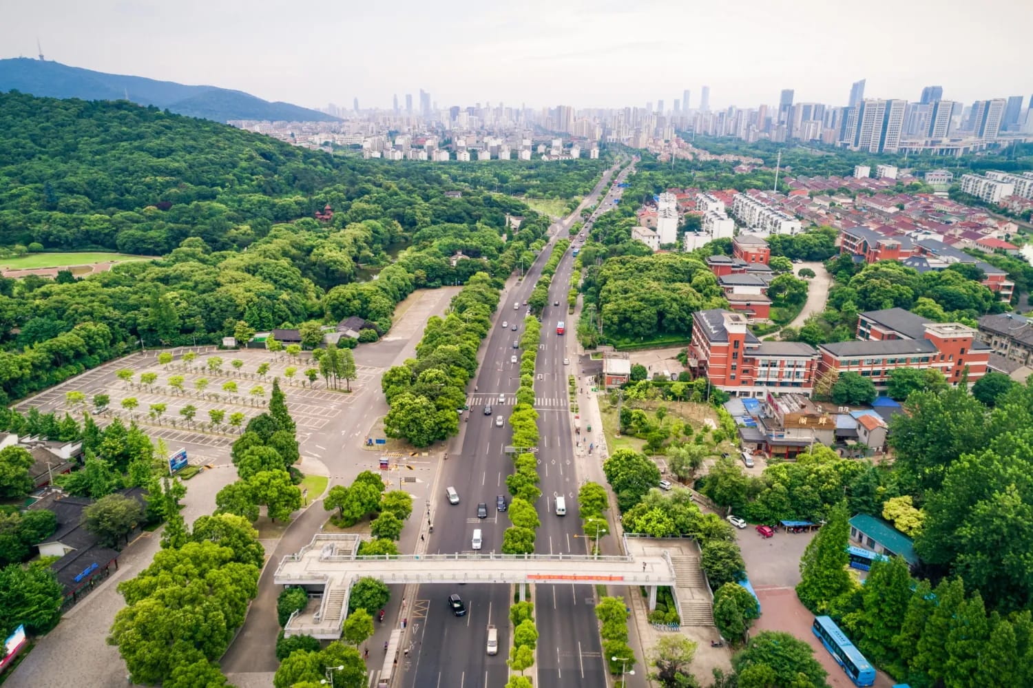 Aerial view of a green, tree-lined city district with a main road running through it